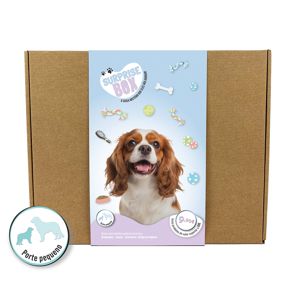 [EXC9910] SURPRISE BOX PORTE PEQ.