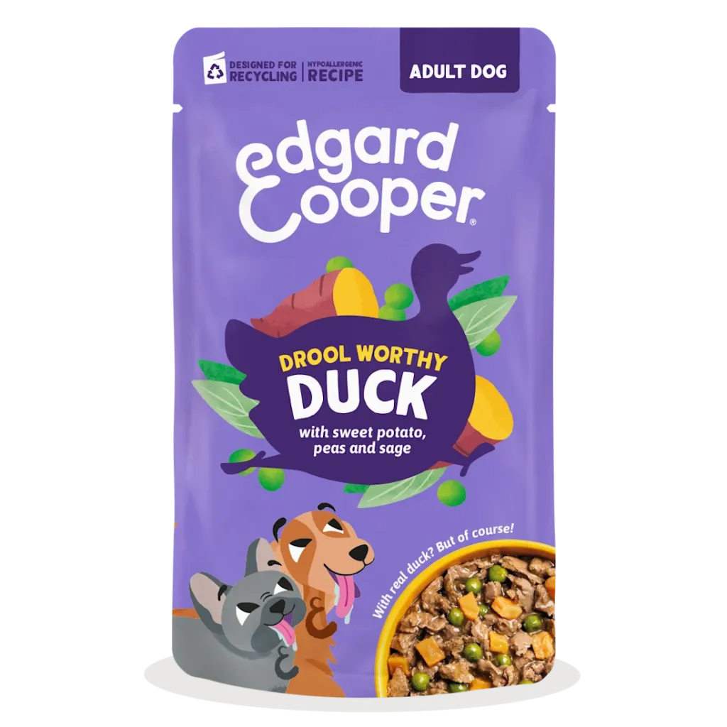 Drool Worthy Duck