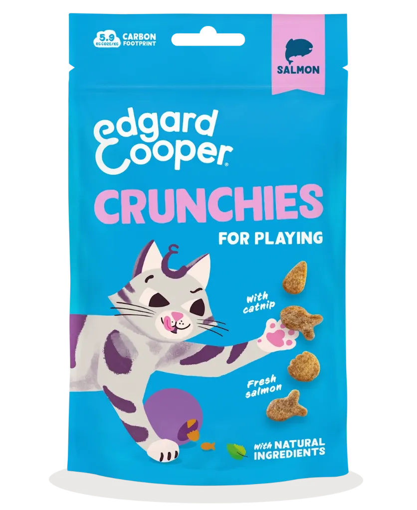 Crunchies - Salmon