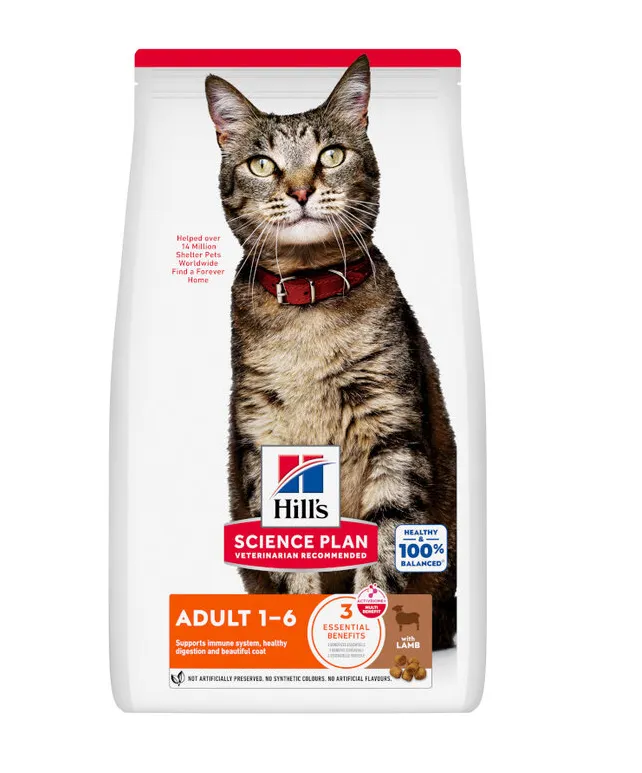 Hill's Science Plan alimento seco para gato adulto com Borrego — Embalagem de 1,5 kg
