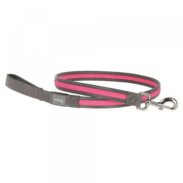 Trela luminosa Light & Reflex para Cão 120CM/25MM