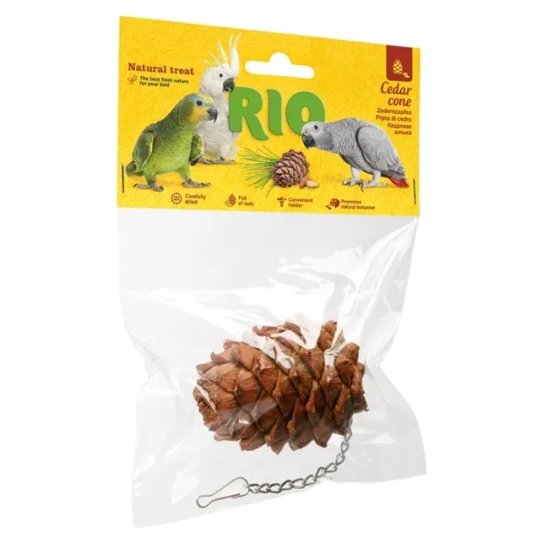 Rio - Pinha de cedro para aves