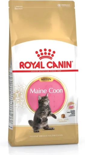 RC Kitten Maine Coon Seco Gato 4 kg