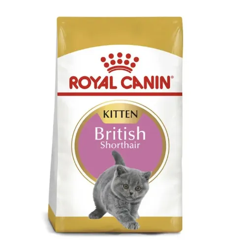 RC Kitten British Shorthair Seco Gato 2 kg