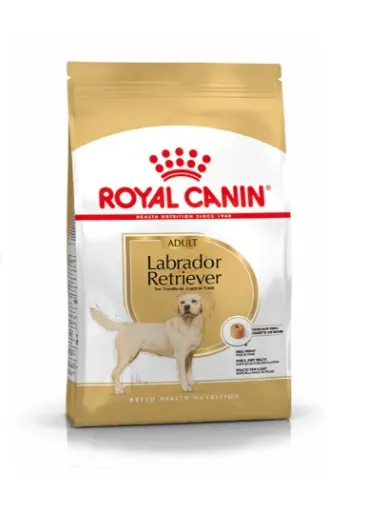 RC Labrador Retriever Adult Seco Cão 12 kg